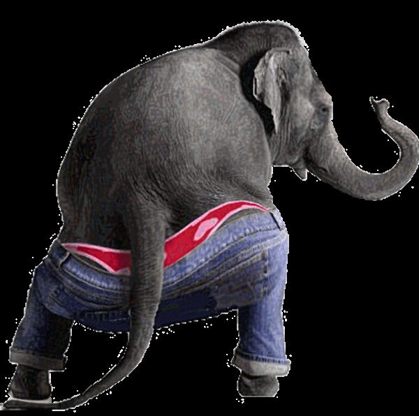 funny animation. funny-animation-4 gif