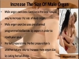 How To Increase The Size Of Male Organ Naturally 