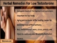 Natural Herbal Remedies For Low Testosterone Help To Improve Sex Drive In Men