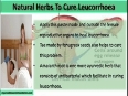 What Are The Ayurvedic Herbs To Cure Leucorrhoea 