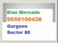 NISHA MEHTA 9650100436 elan mercado, ELAN MERCADO, ELAN80-80