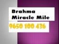 9650100436 brahma commercial gurgaon sector 60 u-p-c-o-m-ing