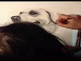Time Lapse Charcoal Drawing Lucy by Amy Watts