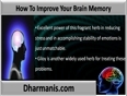 Improve Your Brain Memory With Natural Supplements