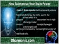 Use Herbal Memory Supplements To Improve Brain Power
