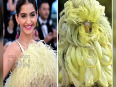 Sonam Kapoor's is now one of the Bollywood biggies to be trolled. After her appearance at the Cannes Red Carpet 2015 Sonam Kapoor's furry outfit has become a joke.
