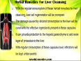 Top rated herbal remedies for liver cleansing