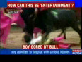 12-year-old child used in bullfight-News-Videos-The Times of India