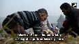 J-K Sowing process of bulbs in full swing for next Tulip Festival