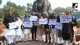 RJD-JD(U) MPs protest in front of Gandhi statue over Piyush Goyal s remark on Bihar