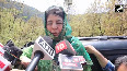 JK electionnot for roads water but for identity PDP chief Mehbooba Mufti ahead of LS Polls