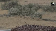 Rajnath Singh Observes Massive Military Drill Near Pakistan Border
