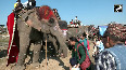 Caravan of elephants bring back charm to Nepal's Tusker Festival