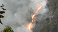Forest fire breaks out near Kodaikanal Hills in Dindigul