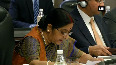 Sushma Swaraj meets Russia s Deputy PM to discuss security issues