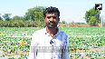 World Water Day: Transforming Gujarat - Impact of Sujalam Sufalam Initiative