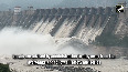 Watch: Salal Dam gates opened amid rising Chenab River levels after heavy rainfall in J-K