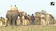 2 Wild elephants from Bengal cross Indo-Bangladesh border, rescued
