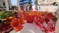 Devotees enjoy 'Panghat Holi' in Vrindavan