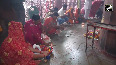 Devotees offer prayers at Alopi Shankari Devi Shakti Peeth Mandir on occasion of Maha Navami