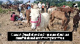 Historic donkey fair at the banks of Mandakini river