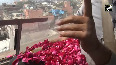 Maha Shivratri: Flower petals showered on devotees at Kashi Vishwanath Temple 