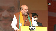Will win more than 300 seats in UP elections Amit Shah