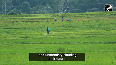 Long term impact of violence hits Manipur agriculture