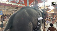 Kerala: Guruvayur Temple festival begins with elephant race