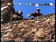WMF restoring Sumda Chung monastery in Leh