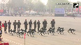 Watch Indian Army s robotic mules hog limelight in Army Day Parade 2025