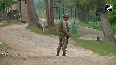 Three Lashkar-e Taiba terrorists killed in Shopian forests, search operation continues