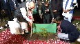 Meghalaya HM Shah plants sapling at Raj Bhavan in Shillong