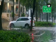  hurricane irma video