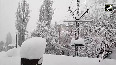 Heavy snowfall batters Himachal