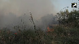 Fire breaks out in grassland near DND flyway in Delhi