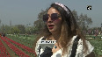 Asia's LARGEST Tulip garden in Kashmir opens for public