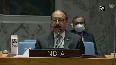 Next 6 months are critical for Libya HV Shringla at UNSC