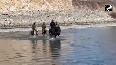 Indian Army patrols Pangong lake on horses safeguards LAC