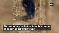 UP shocker! 3 men molest woman in Unnao, video goes viral