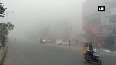 Thick fog engulfs in Haryana s Rohtak