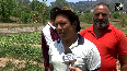 After the ceasefire in Nowshera, Jammu and Kashmirgreenery returned to the border, farmers resumed organic farming