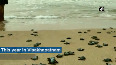 Over 350 baby turtles released into sea in Visakhapatnam