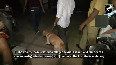 Doctor rape-murder: Police dog squad arrives at the spot