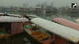 Cold wave, fog grip Kashmir; Srinagar records temp of-3.5 C