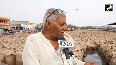 Heavy rain in Punjab caused heavy damage to the grains lying in Abohar Mandi