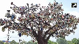 UP to unveil world's 1st park crafted from ceramic waste