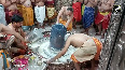 Priests perform Rudrabhishek of Mahakaal in Ujjain on occasion of Holi