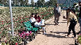 The beauty of the Tulip Garden mesmerized the tourists