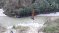 Cow stuck at bank of River Alaknanda rescued by SDRF